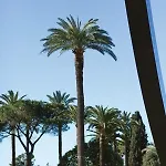 Le Colonna - Grand En Duplex, Refait A Neuf, Vieux-nice Old Town * Nizza