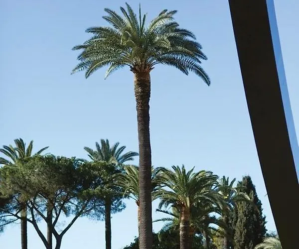 Le Colonna - Grand En Duplex, Refait A Neuf, Vieux-nice Old Town * Nice